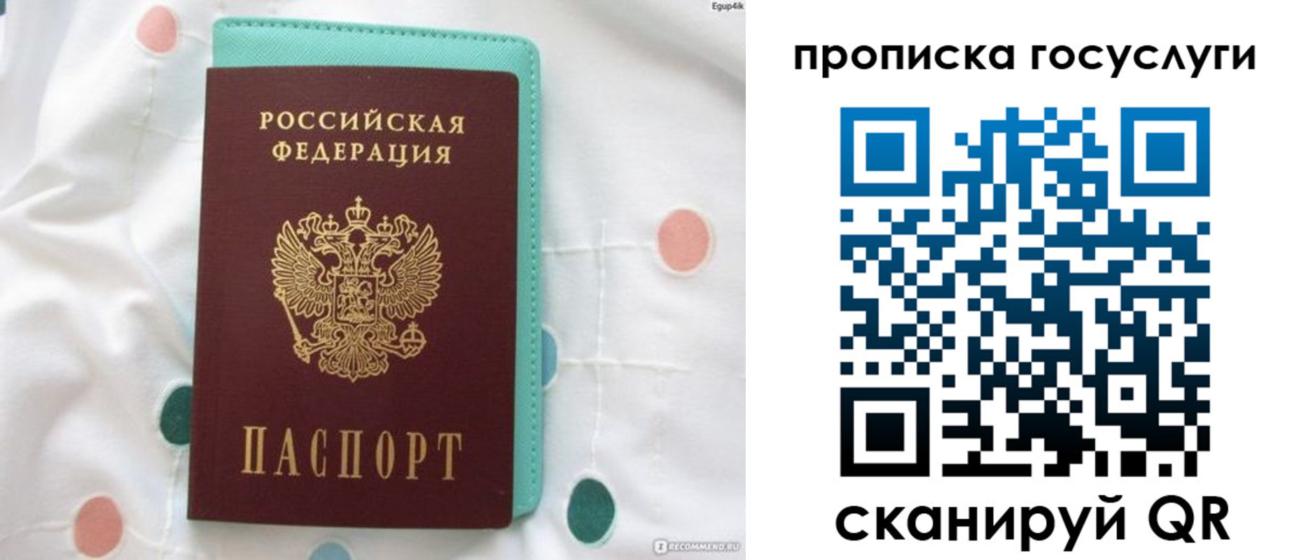 прописка поиск в Тынде